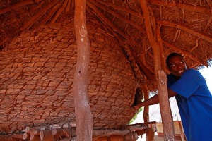 Giovane ragazzo Pedi controlla il magazzino dei cereali ricavato in un grande contenitore realizzato in tessuto vegetale intrecciato a mano, coperto da un tetto in paglia, Sud Africa, 2012